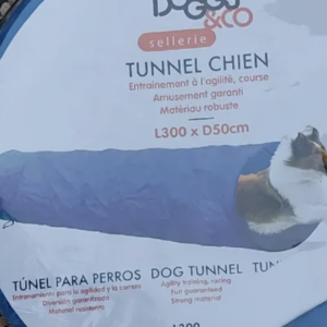 Tunnel chien