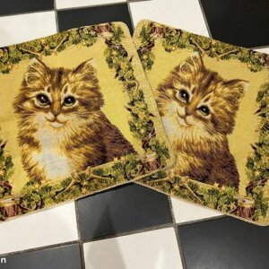 Coussin Chat 30x30